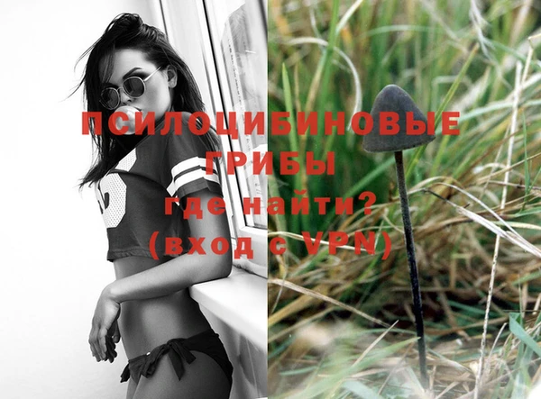 молекула духа Алексеевка