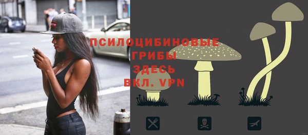 сатива Алексин