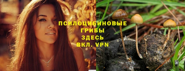 молекула духа Алексеевка