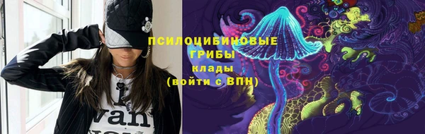 PSILOCYBIN Абаза