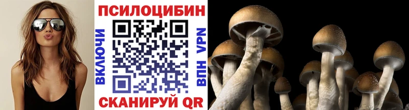 Псилоцибиновые грибы MAGIC MUSHROOMS  дарк нет телеграм  Спас-Клепики  купить  